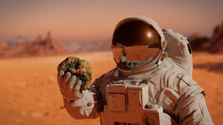 Elon Musk, Mars’a kafayı taktirdi