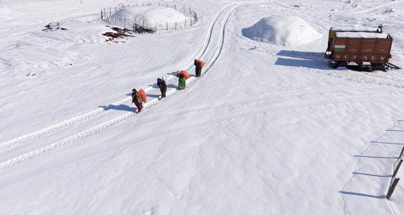 Mazıdağı’nın karlı yollarında zorlu mesai: Kadınlar sırtlarında saman taşıyarak hazırız mesajı verdi?
