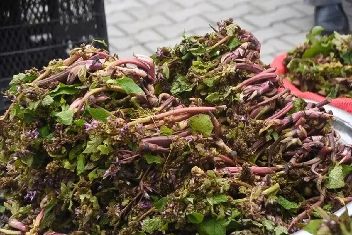 Savaşa giden askerler kullanırmış!! Faydasi saymakla yetmiyor?