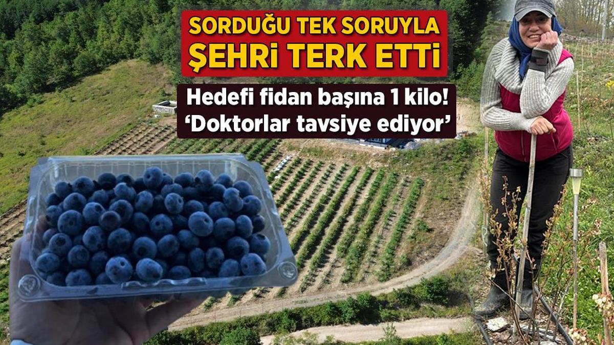 Sorduğu tek soruyla şehri terk etti! Hedefi fidan başına 1 kilo: 'Doktorlarin bile radarinda