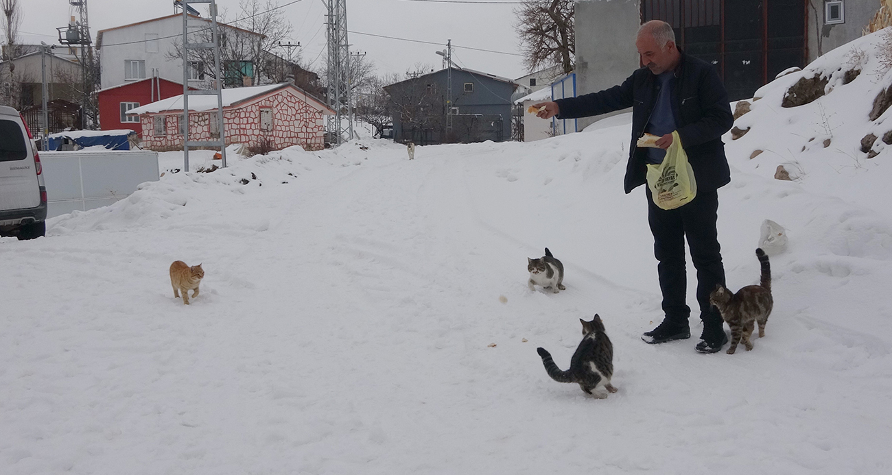 Yaklaşık 2 bin nüfuslu köyde kışın sadece bir aile köyde kaliyor