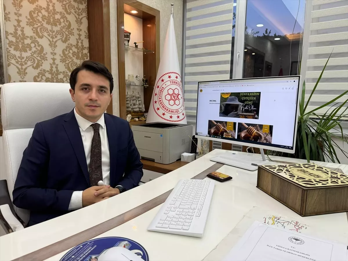Yığılca'da Arıcılar Sanal Mağaza Kurdu